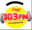 103 FM